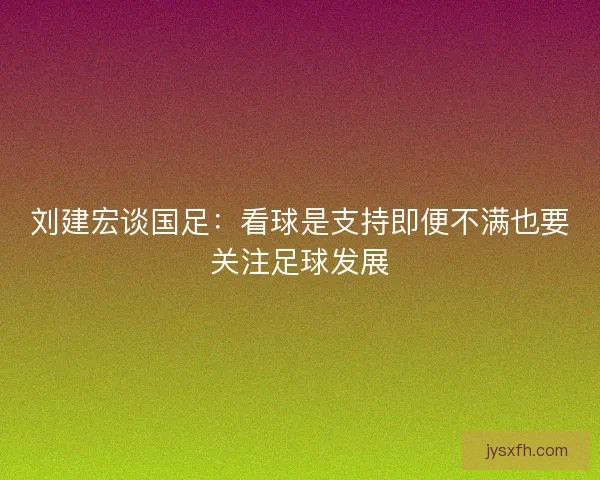 刘建宏谈国足：看球是支持即便不满也要关注足球发展