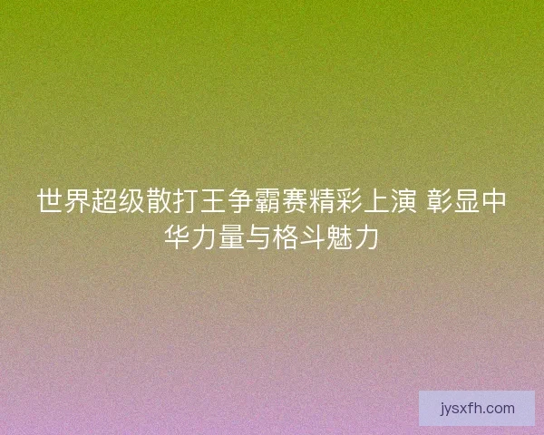 世界超级散打王争霸赛精彩上演 彰显中华力量与格斗魅力
